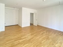 img16-large.jpg