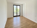 img17-large.jpg