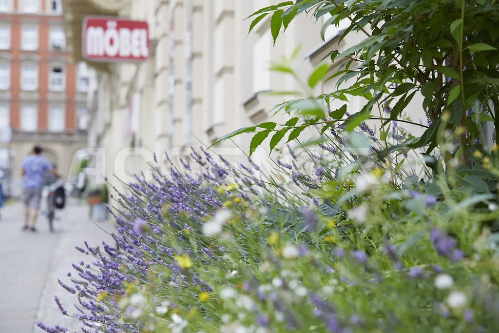 LIVING IN THE LEGENDARY TRENDY DISTRICT - REGENT 56